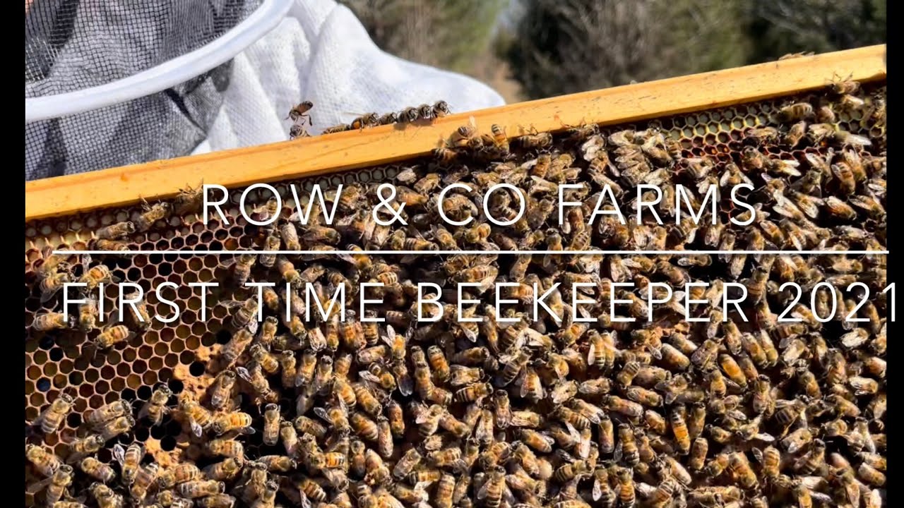 FIRST TIME BEEKEEPER 2021| DAILY CHORES| FARM LIFE