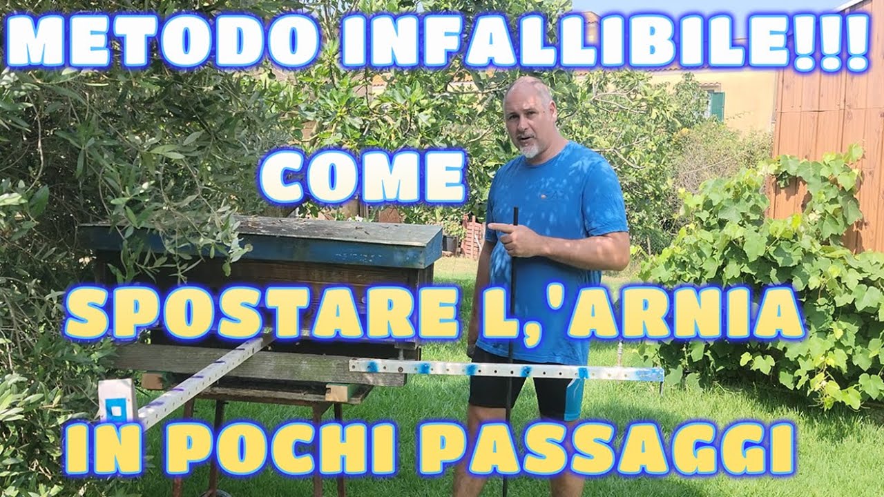 COME SPOSTARE LE API DI POCHI METRI SENZA INCOVENIENTI