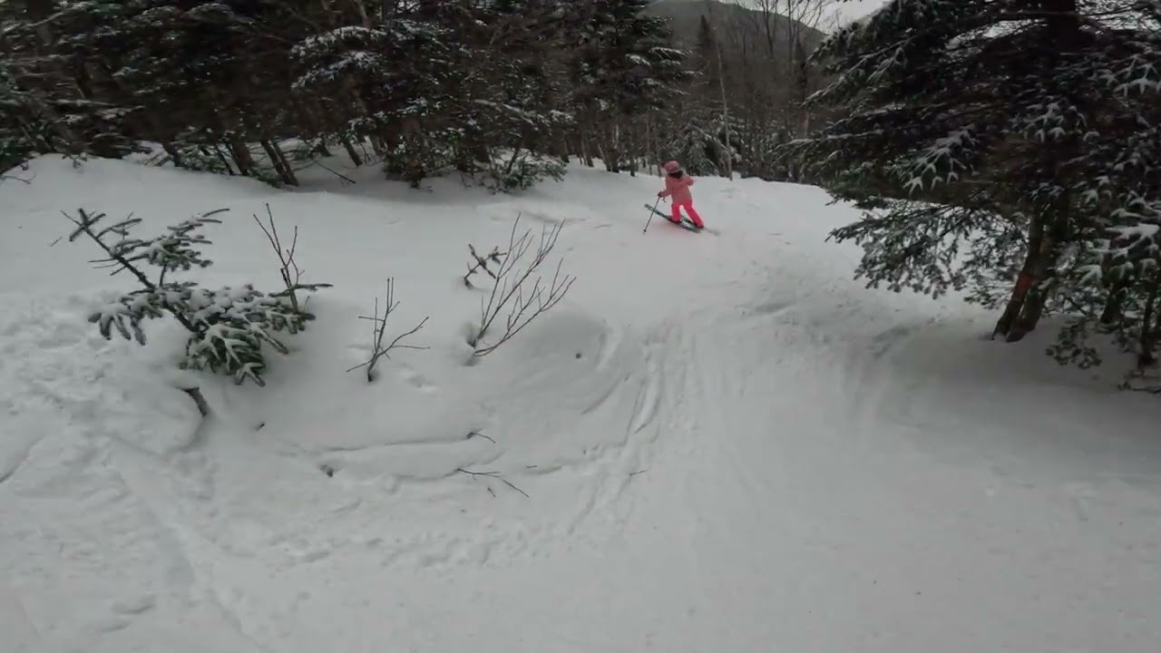 Nosedive Glades - Stowe, VT