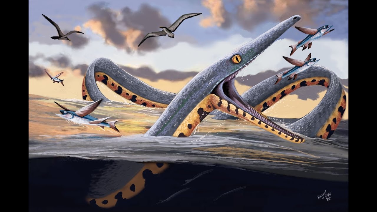 Настоящие морские змеи