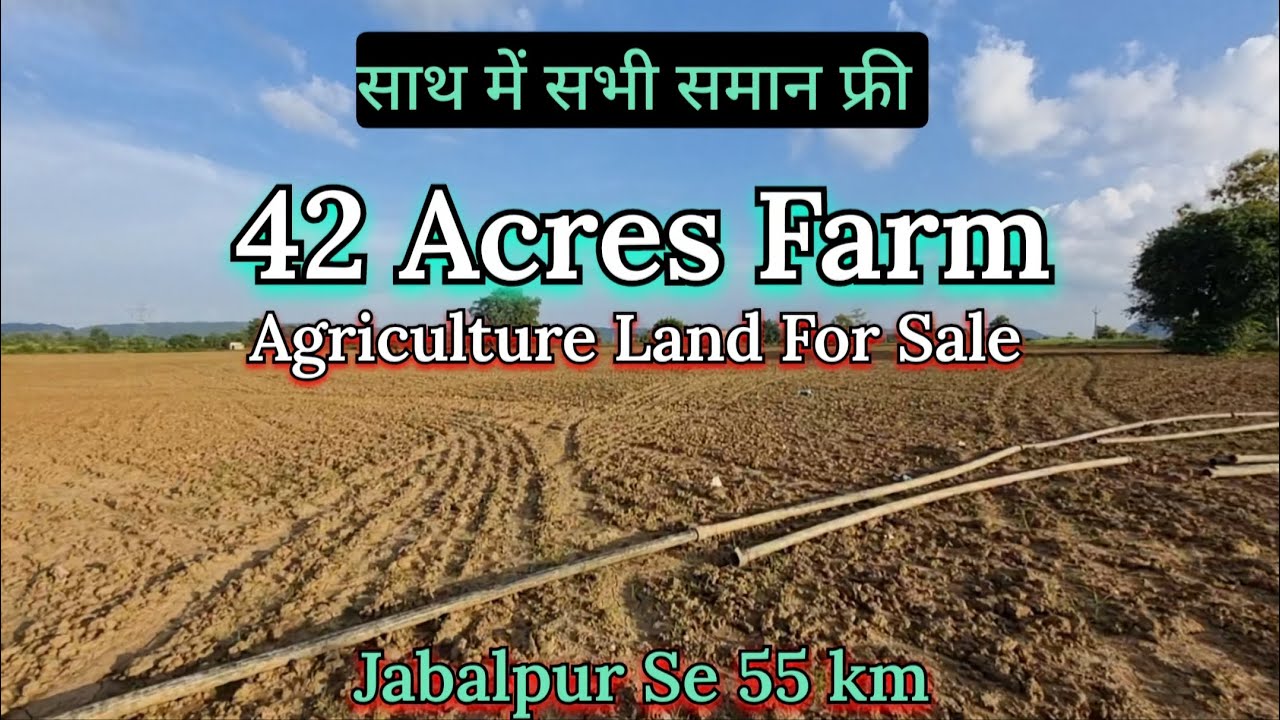 42 Acres Agriculture Land For Sale Jabalpur se 54 km Madhya Pradesh #agriculture #farmland