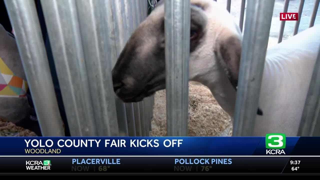 Largest, oldest 'free gate fair' in California kicks off in Yolo County