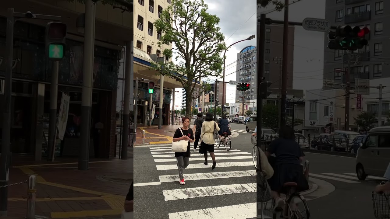 音響信号機(擬音式)神奈川県平塚市内「市民プラザ前」交差点※主道側(神奈川では珍しいA音質カッコー)