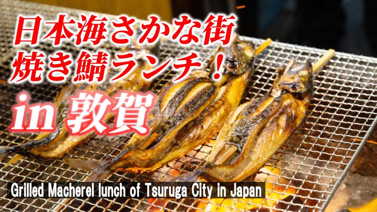 【日本海さかな街】炭火焼き鯖を堪能！「はまやき安兵衛」敦賀編【 Charcoal grilled mackerel / Tsuruga city in Japan】