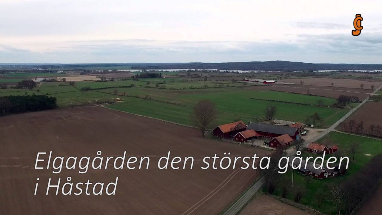 Elgag&aring;rden H&aring;stad