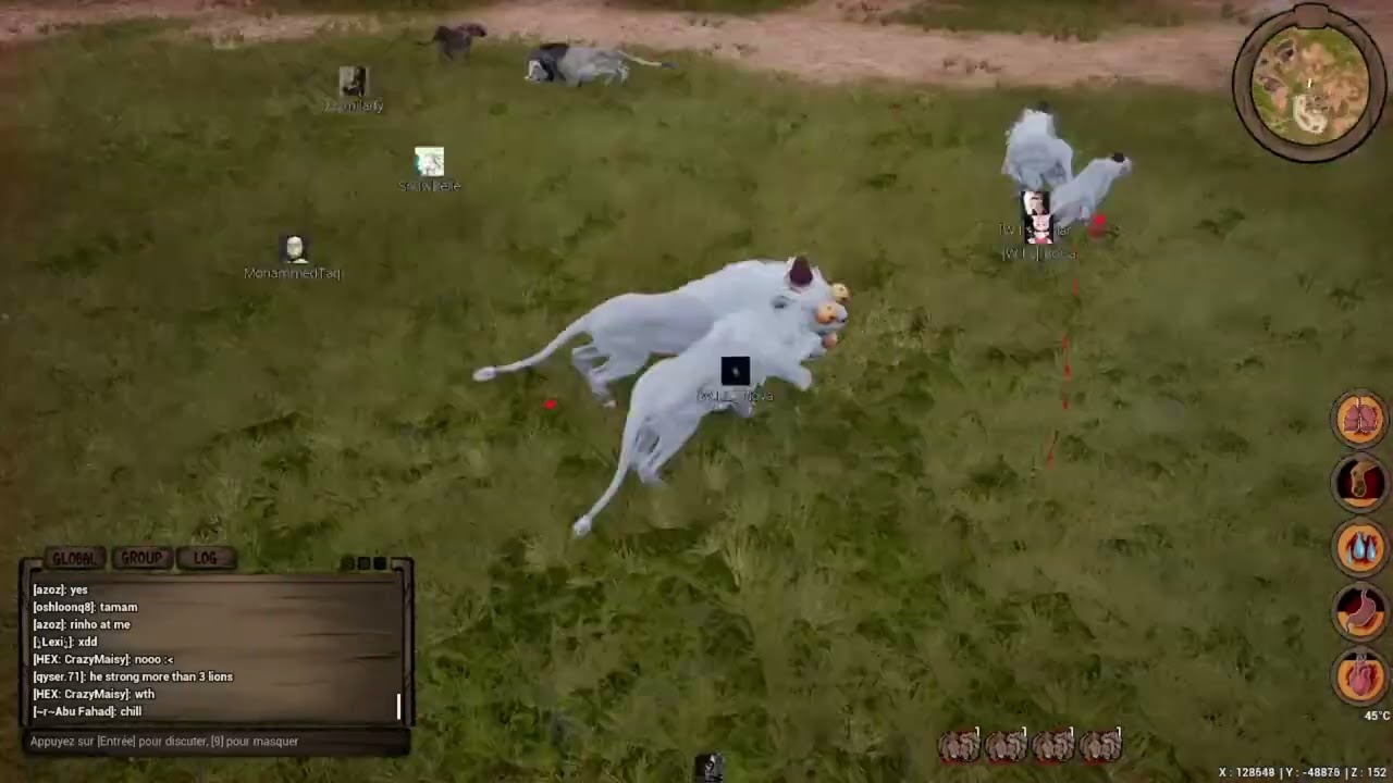 The most beautiful battle