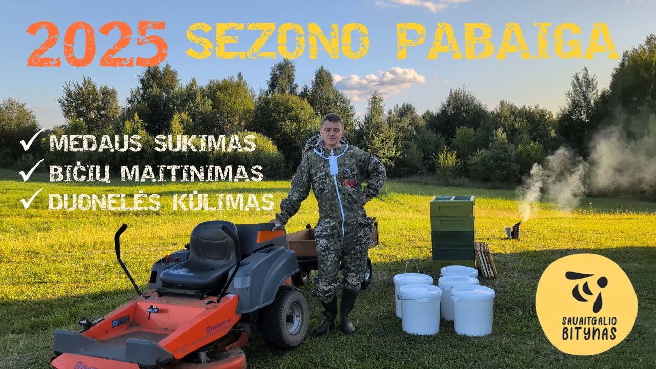 2025 bičių sezono pabaiga; Medaus sukimas; Bičių maitinimas; Duonelės kūlimas