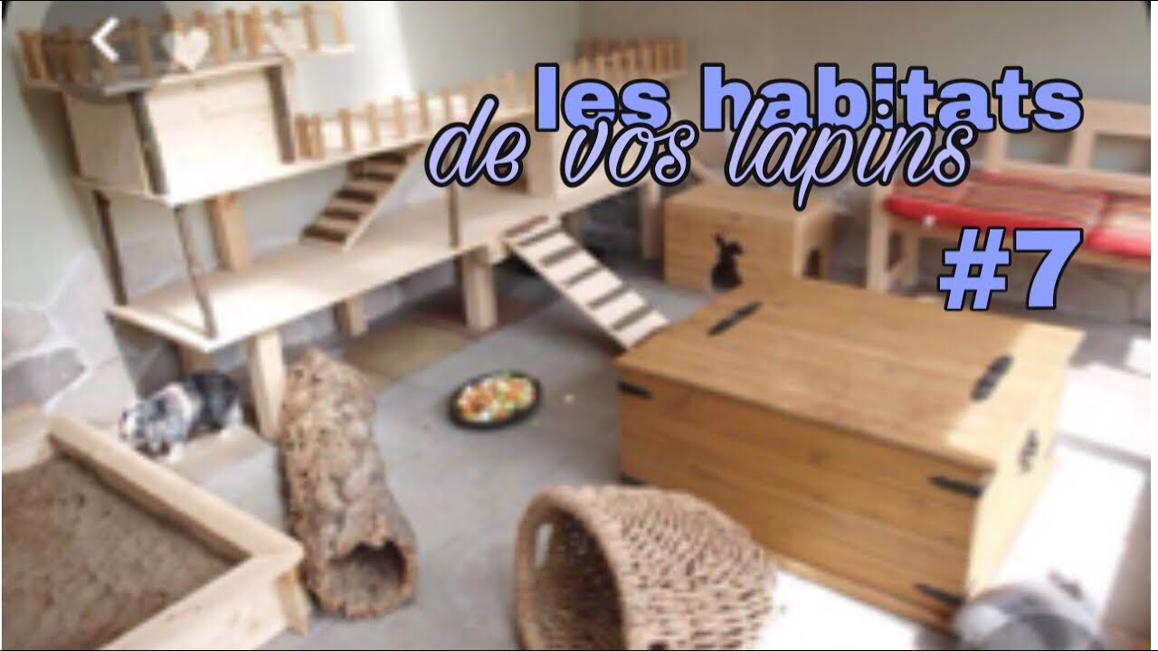 Les habitats de vos lapins #7