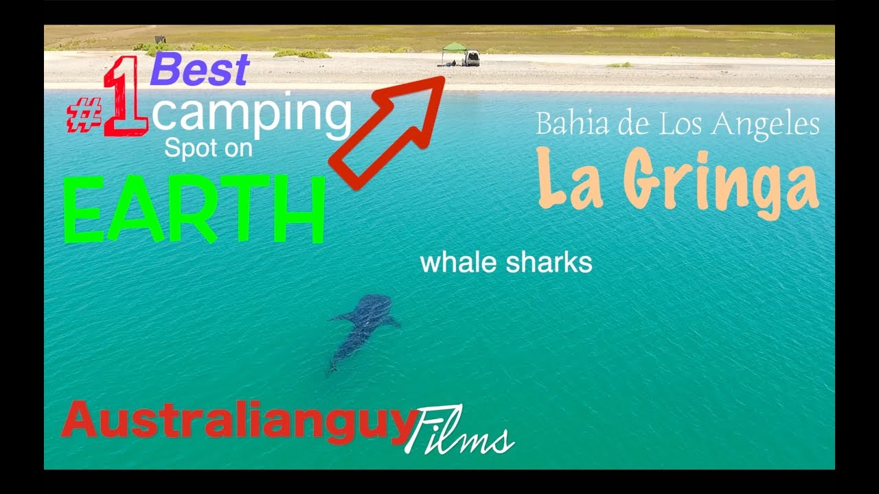 Worlds best camping spot