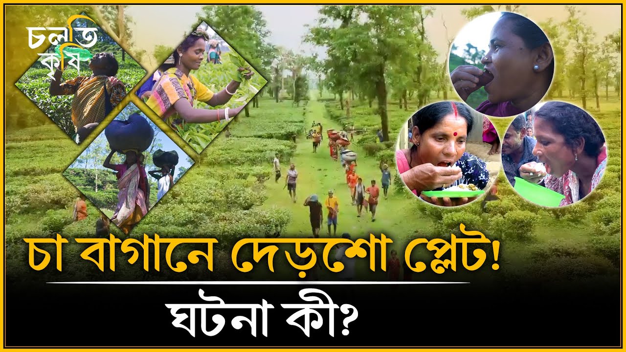 চুলায় আ'গু'ন দিতে এলাহী কান্ড | চলতি