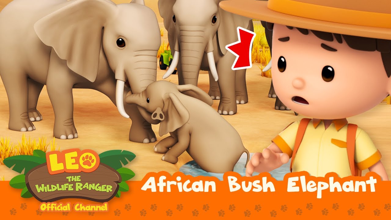 Emergency! ELEPHANTS to the RESCUE! | African Bush Elephant | Leo the Wildlife Ranger | 
