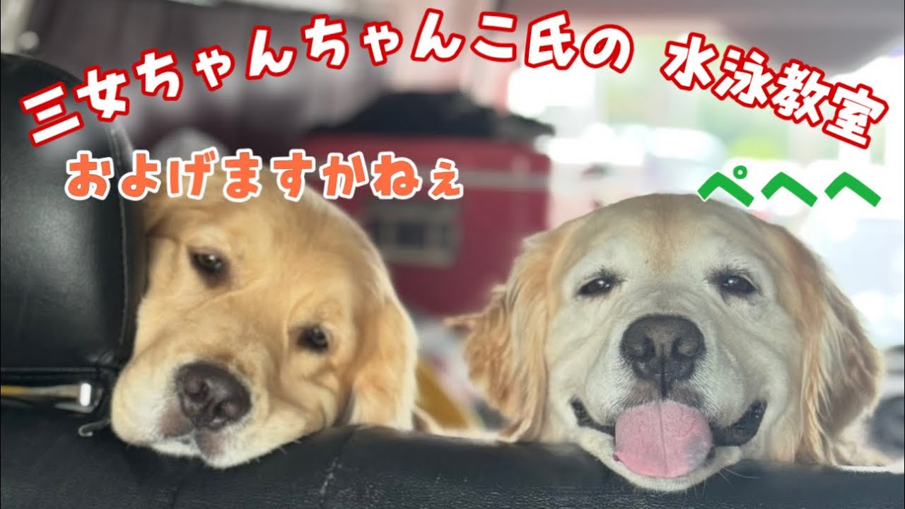 New三女ちゃんちゃんこ氏に泳ぎ方を教えてみた結果