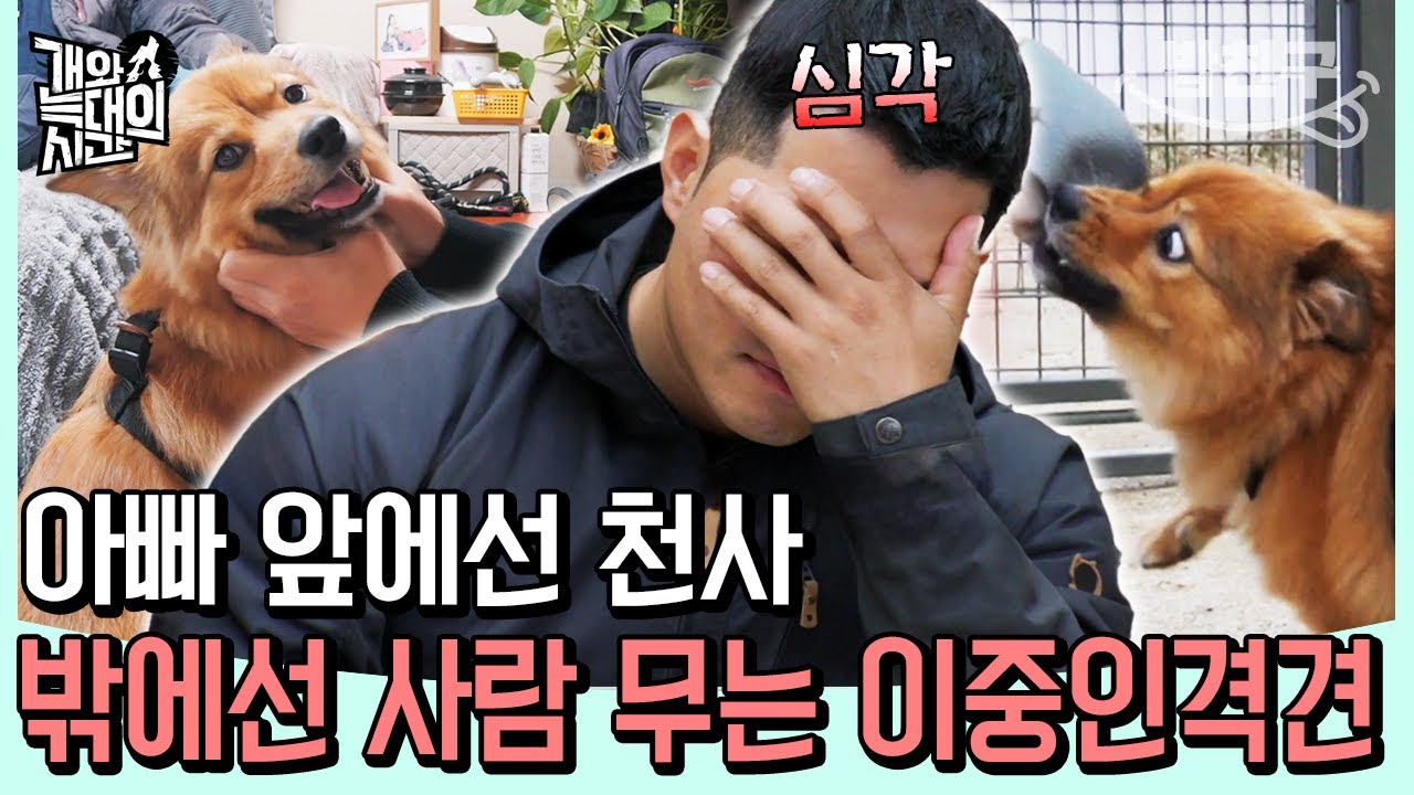 [#밥친구] 주인 앞에선 천사😇 다른 사람만 보면 입질👿?! 강형욱도 어려워한 이중인격견의 문제 | 개와 늑대의 시간 2회