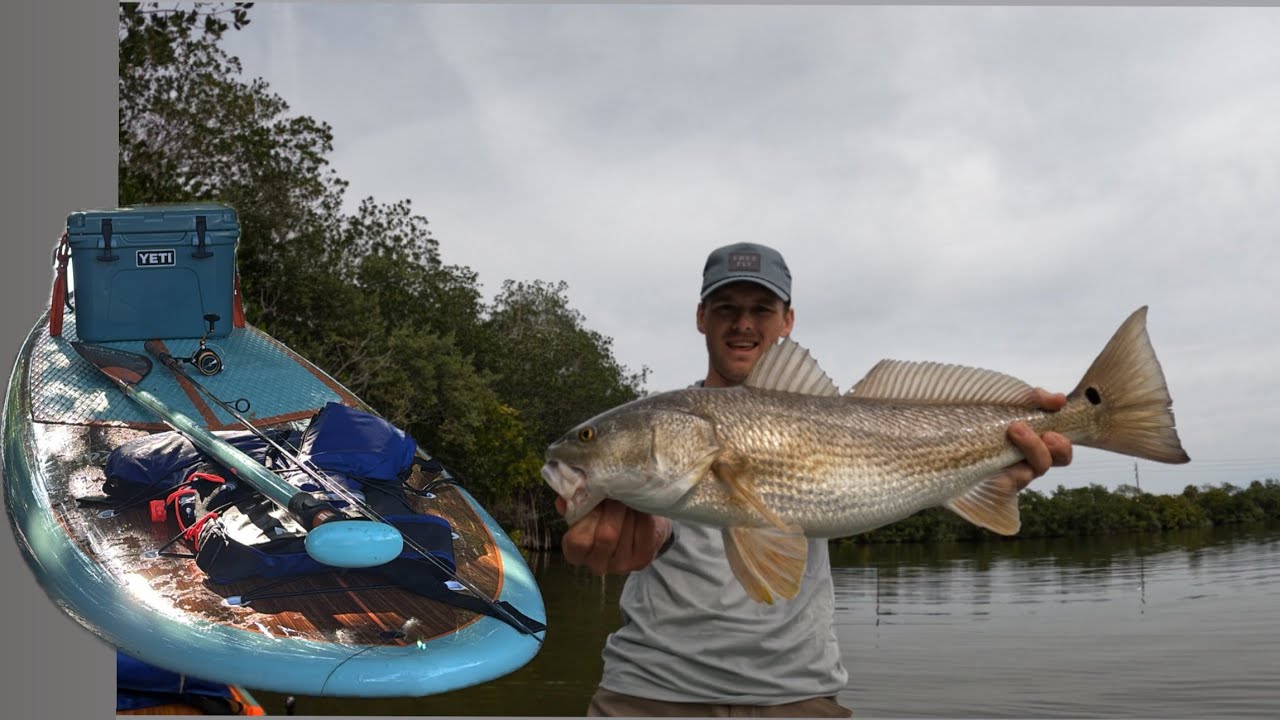 Paddleboard Fishing the Florida Backcountry