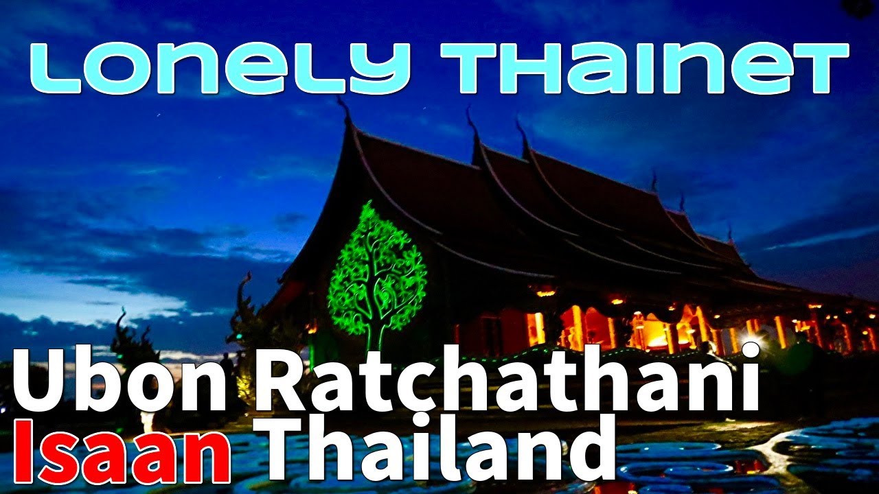 Ubon Ratchathani/ 昼の光を貯めて光る木/อุบลราชธานี｜lonely thainet