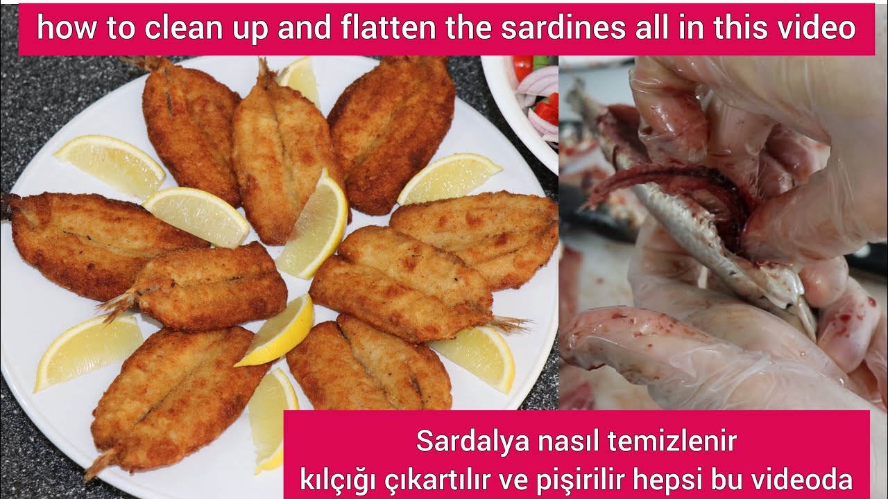 Sardalya temizlemek kılçığını çıkarmak ve pişirmek tarif how to cleanup sardines take the bones off