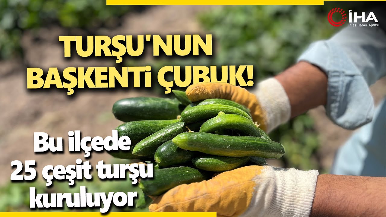 Tarladan Sofraya Coğrafi İşaretli Çubuk Turşusu'nun Hikayesi