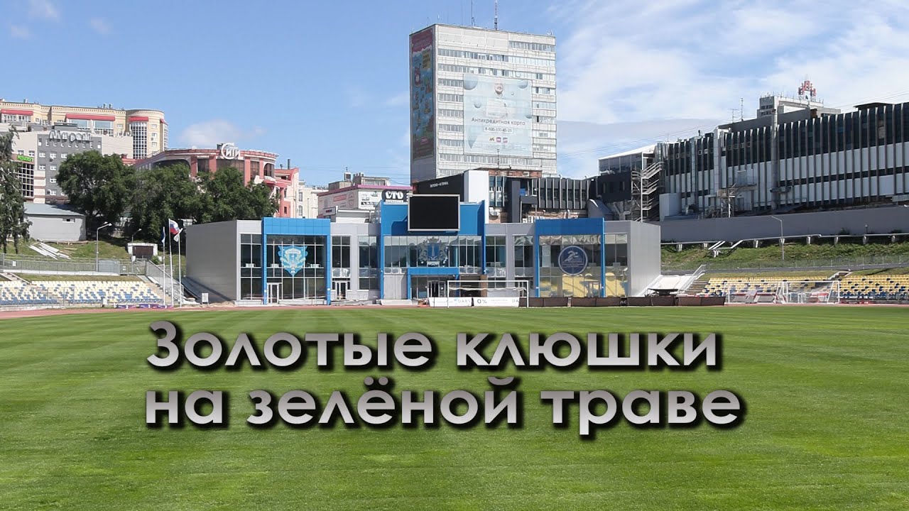 Легенды нашего спорта. Золотые клюшки на зелёной траве