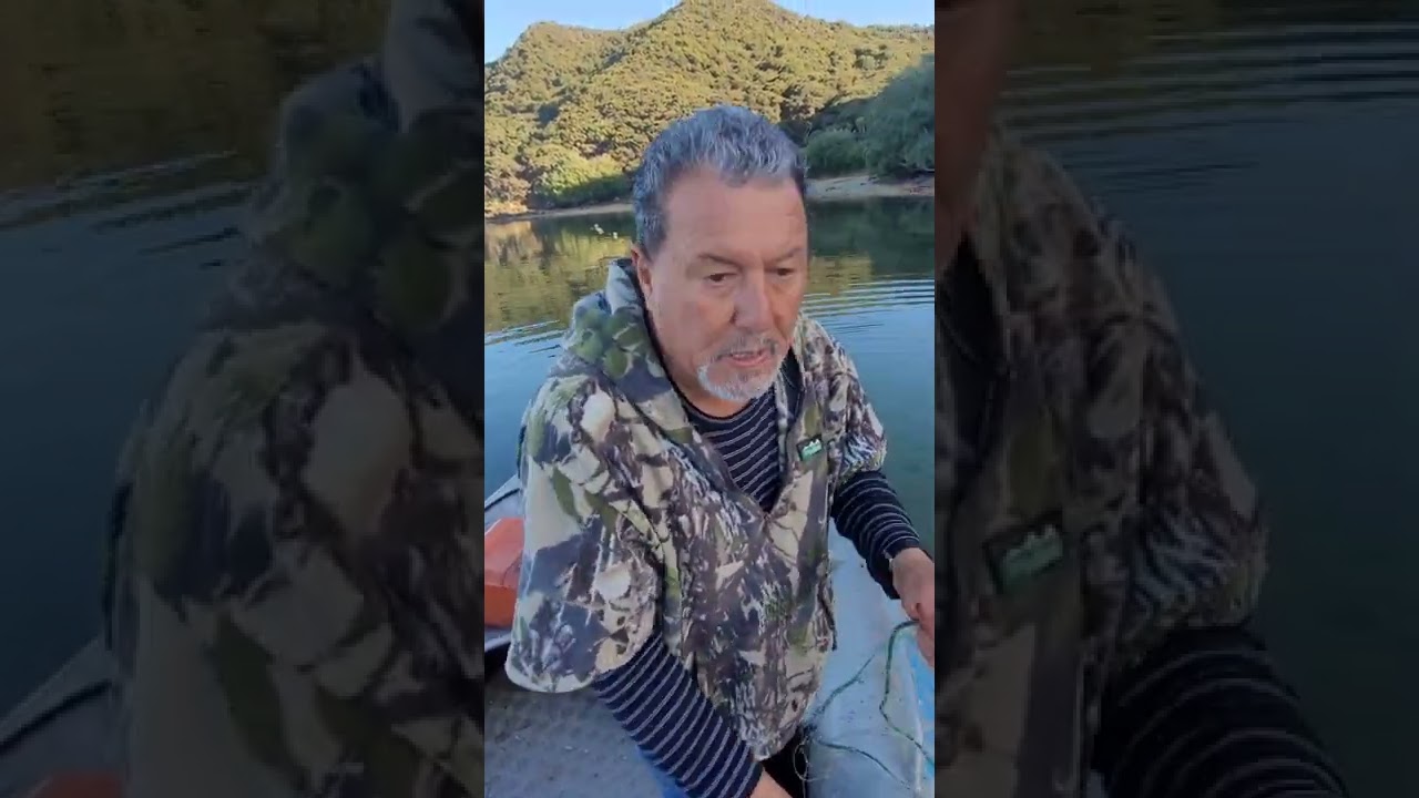 mullet netting in the far north