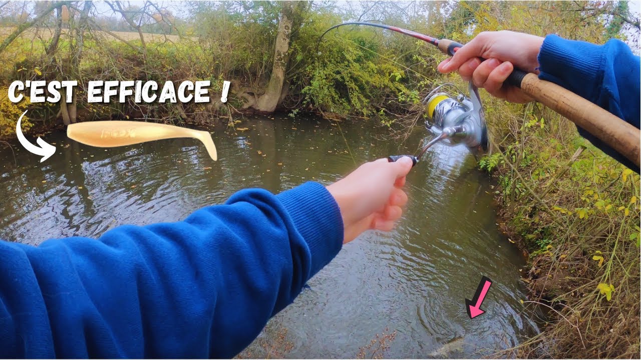 PÊCHE DU BROCHET ET DE LA PERCHE EN PETITE RIVIÈRE