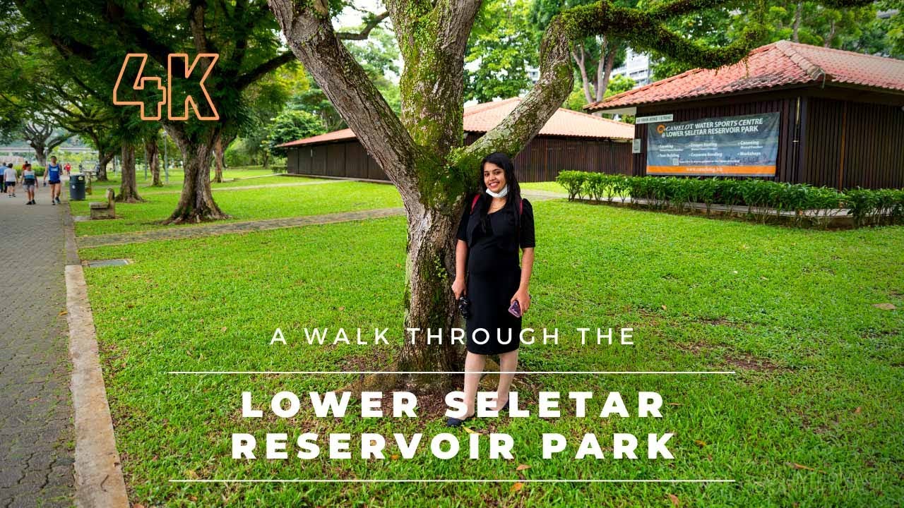 Lower Seletar Reservoir Park | Singapore Nature | Parks | 4K