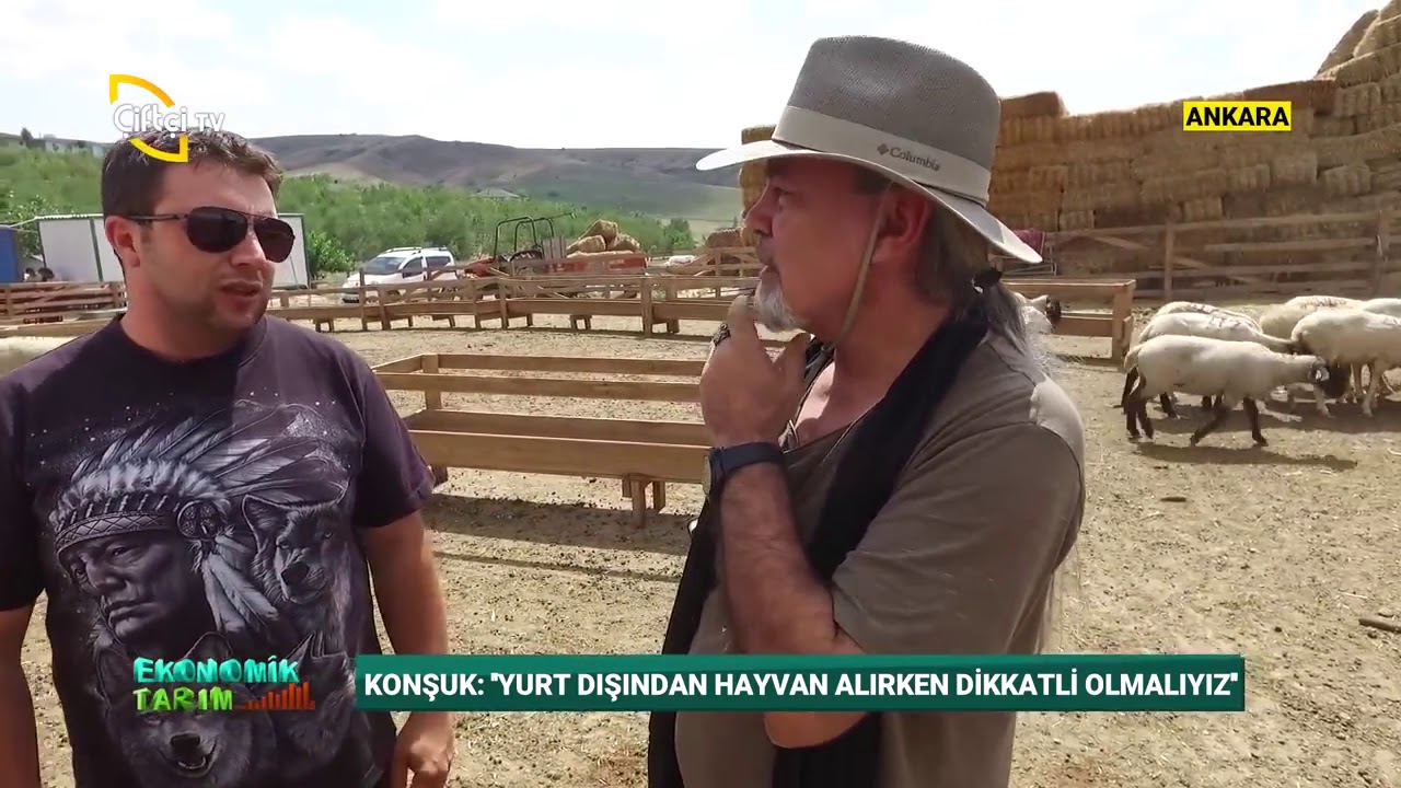 KÜÇÜKBAŞ HAYVANCILIK NASIL YAPILMALI?