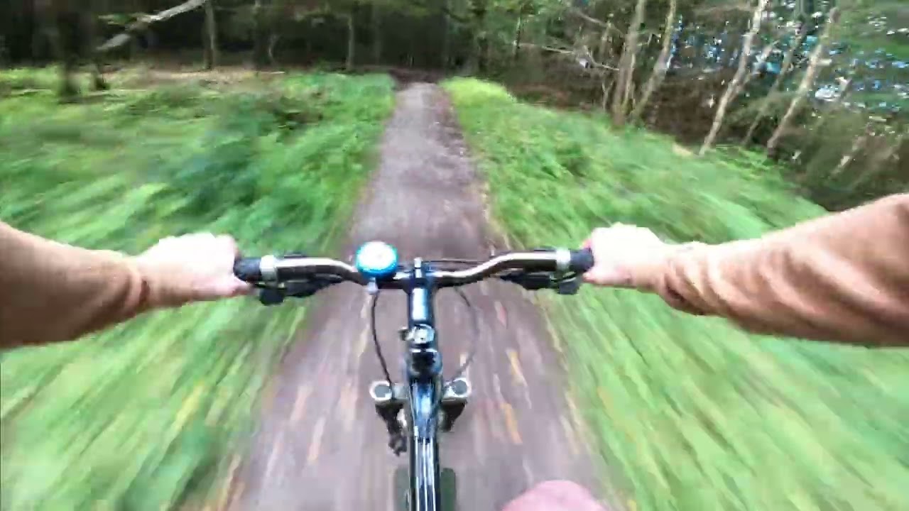 Hamsterley Forest Blue Route Highlights
