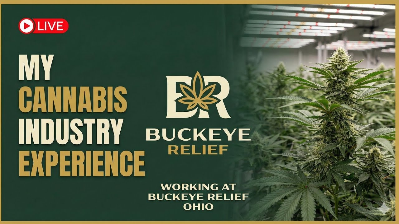 I Helped Build Buckeye Relief&hellip; Then They Tried To Silence Me | Inside Ohio&rsquo;s Cannabis Industry