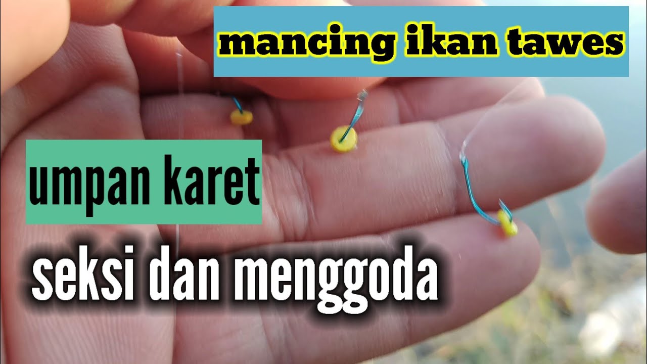 viral !! cara unik mancing ikan tawes umpan karet