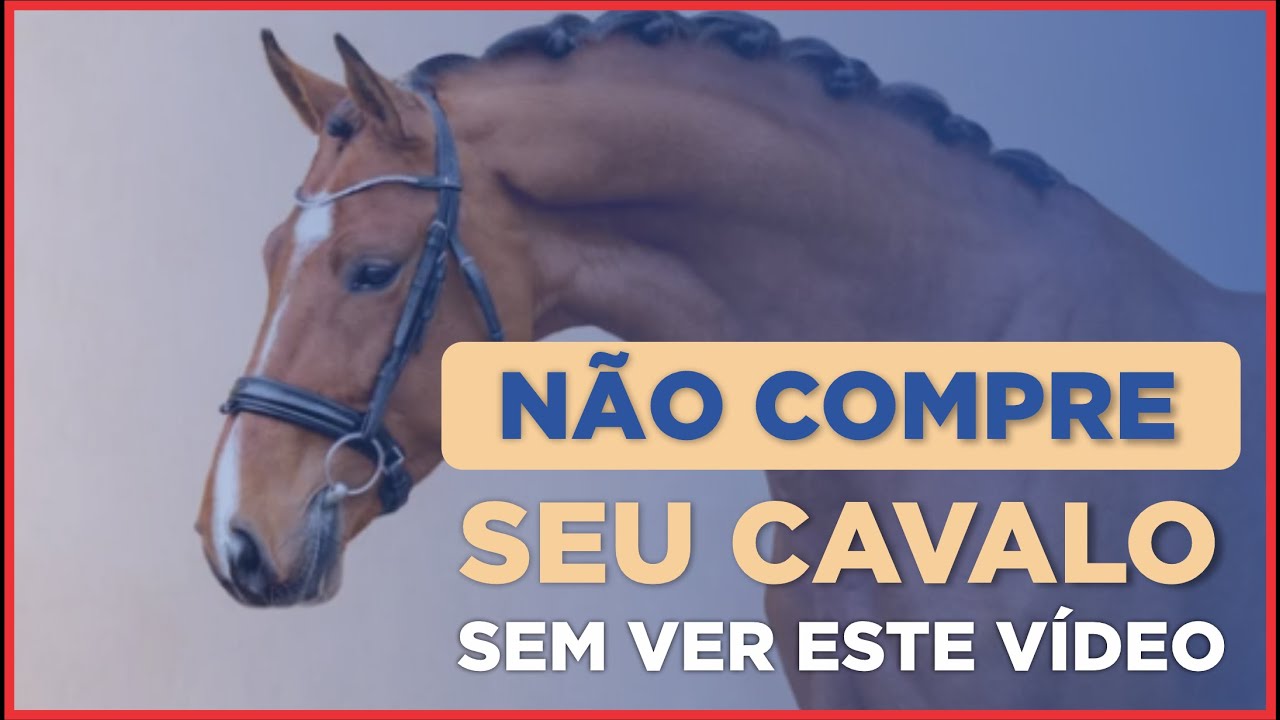 Não compre seu cavalo sem ver este vídeo l Índole x Comportamento