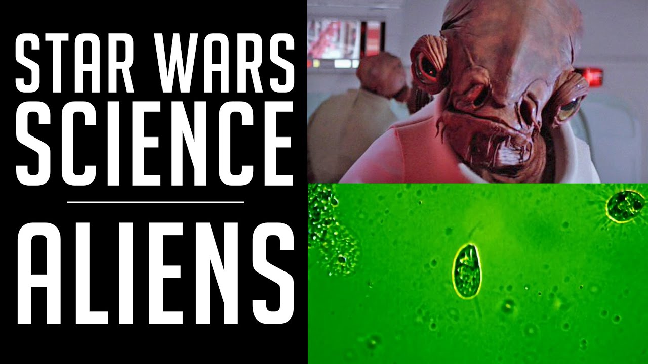 Star Wars SCIENCE - Aliens