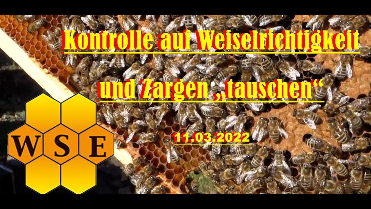Erste Frühjahrsarbeit 2022