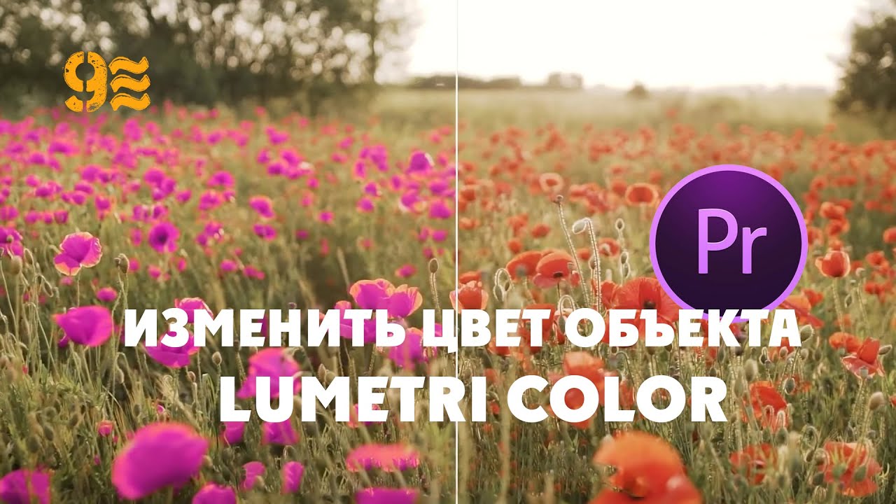 Как изменить цвет объекта в Premiere Pro. LUMETRI COLOR.