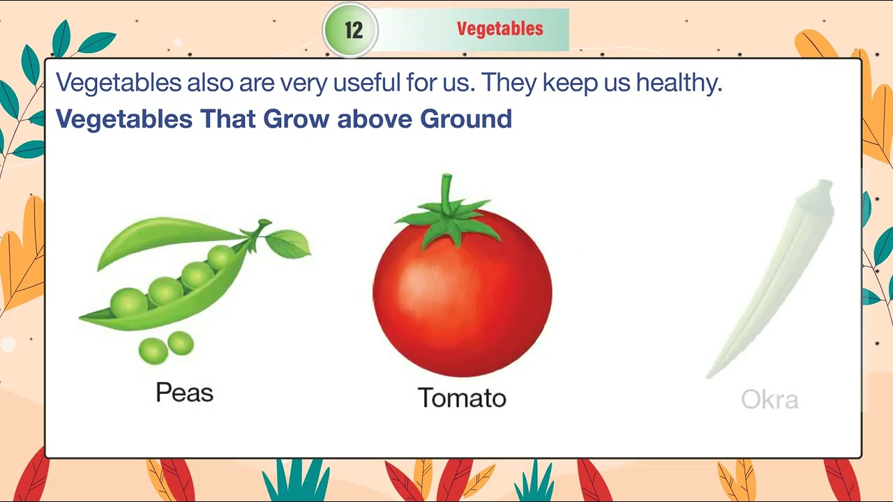 Ch 12 | Brillio Books | Picture Book | C |  Vegetables | For children