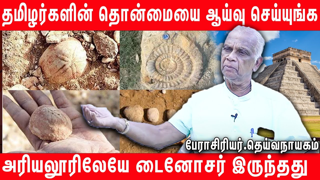 தஞ்சாவூர் நூலகத்தில் மாயன் வரலாறு - Prof.Deivanayagam Speech | Tamil Research | Tamilnadu
