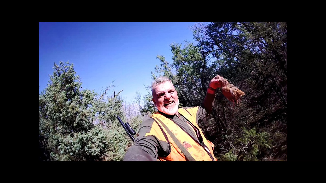 woodcock hunting Greece 28/2/2026μπεκατσες by teo orestiada