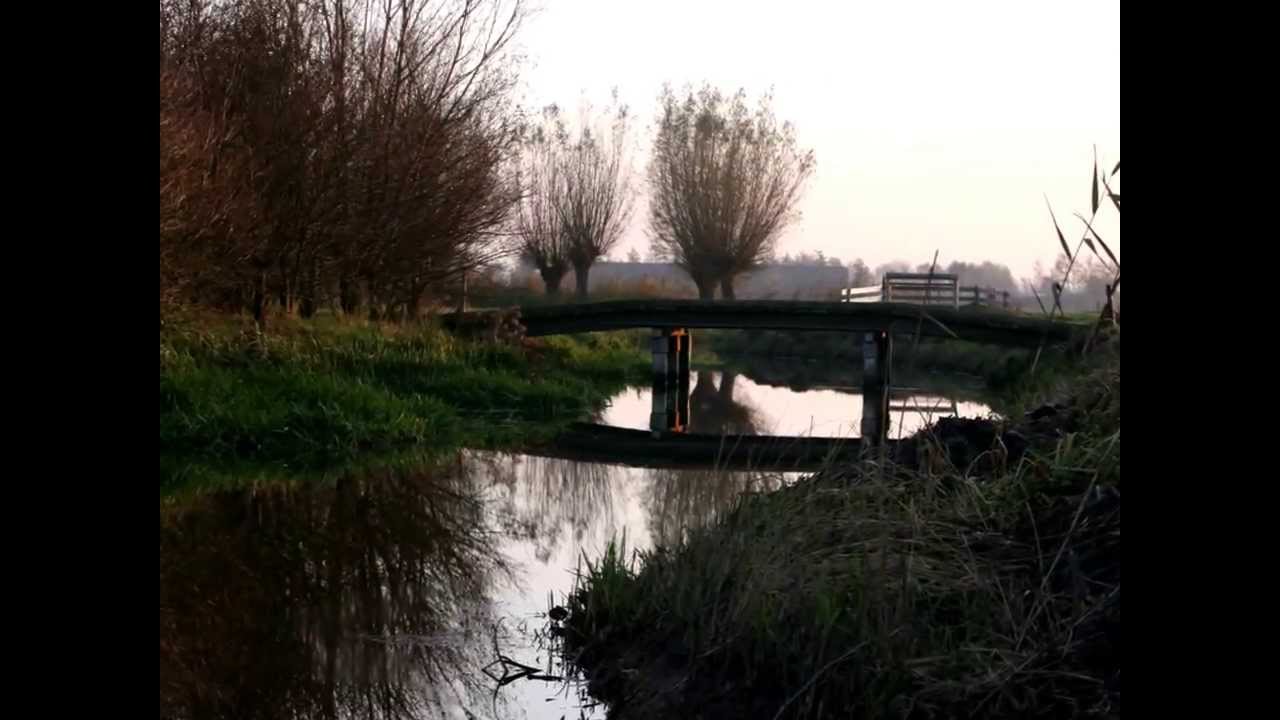 polder van eemnes