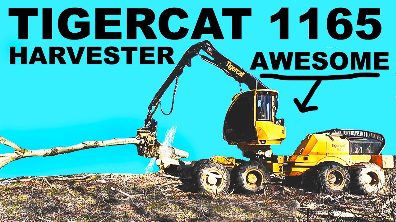TIGERCAT 1165 HARVESTER - COMPLETE CARNAGE!