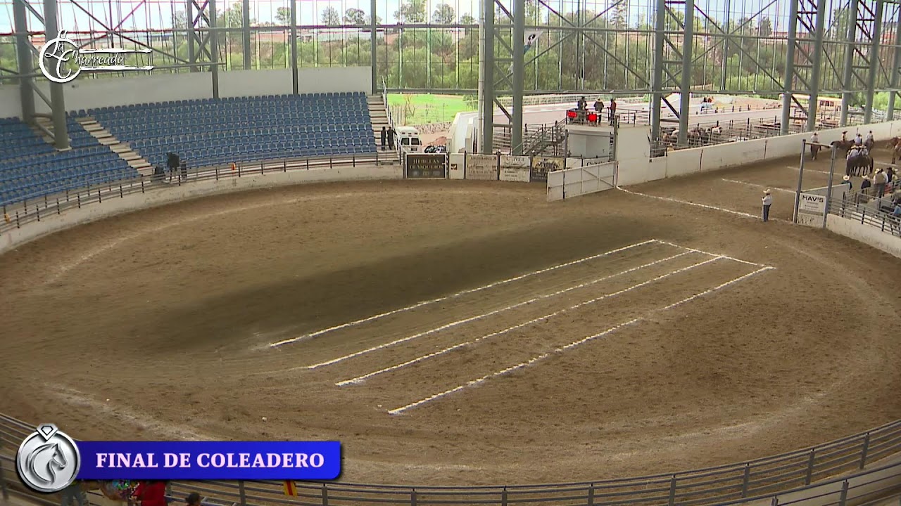 Campeonato Diamante 2025. Final del Coleadero