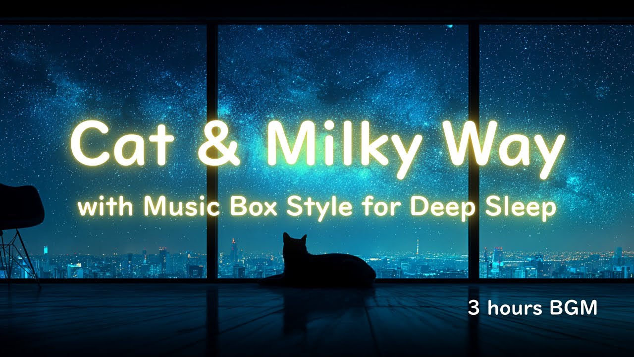 [Music Box Style]  black cat and the Milky Way |  BGM for sleep & relax✨
