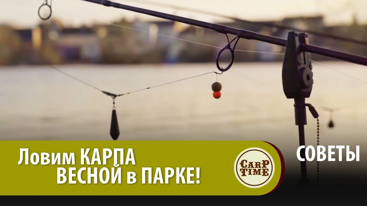 ЛОВИМ карпа в ГОРОДСКОМ ПАРКЕ ранней ВЕСНОЙ! Тактика ВЕСЕННЕГО карпфишинга с Ричем Уилби. СОВЕТЫ
