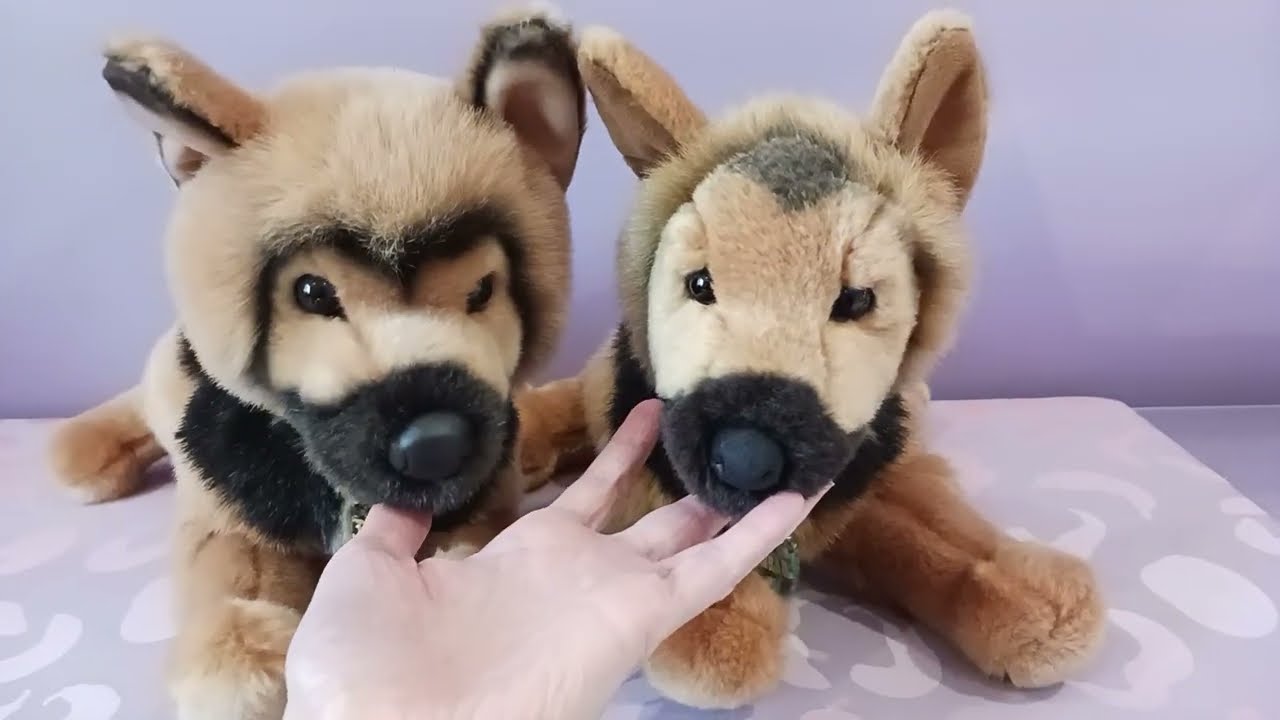 Comparing Two Versions of General the German Shepherd by Douglas Cuddle Toys