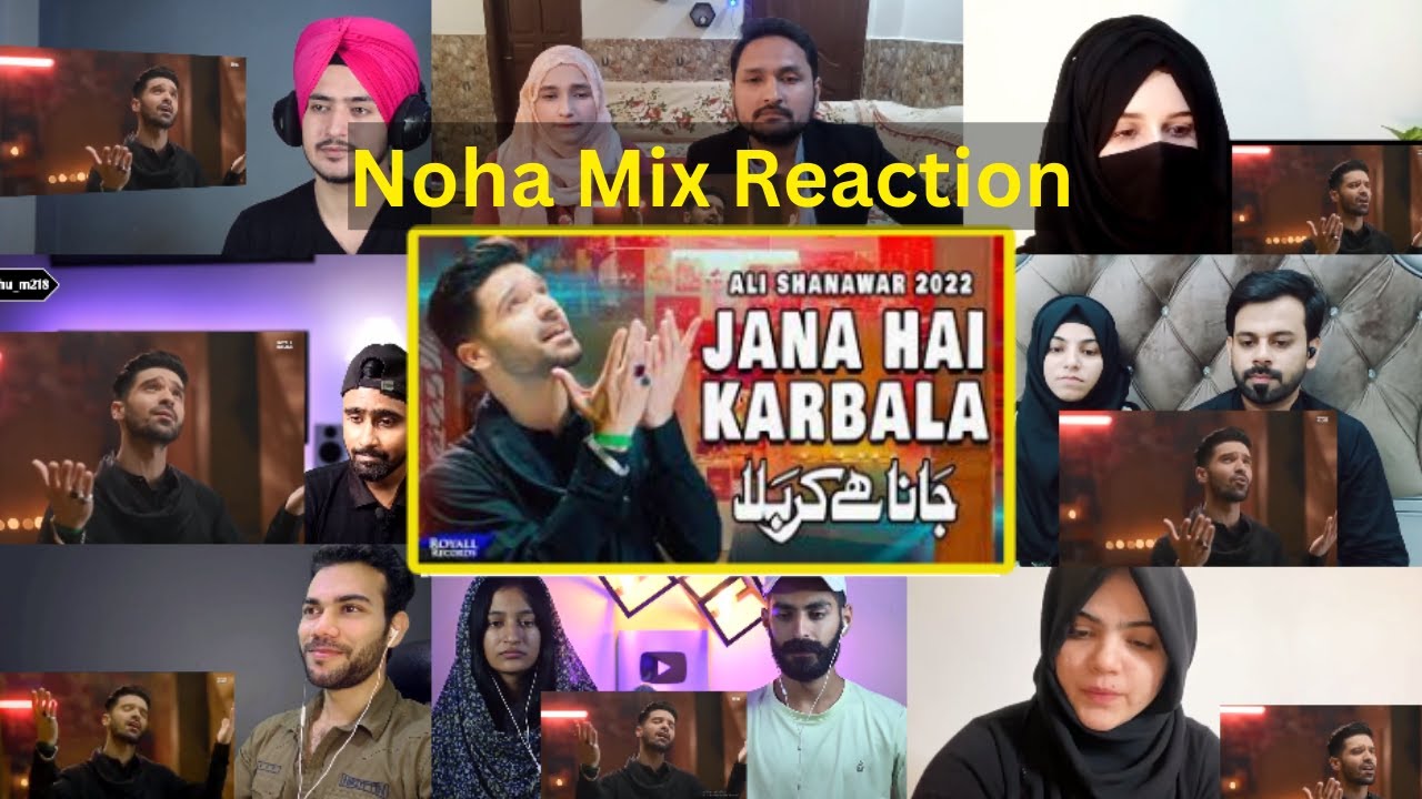 Jana Hai Karbala mix Reaction | Noha Reaction | Ali shanawar Noha Reaction@SyedNadeemSarwar