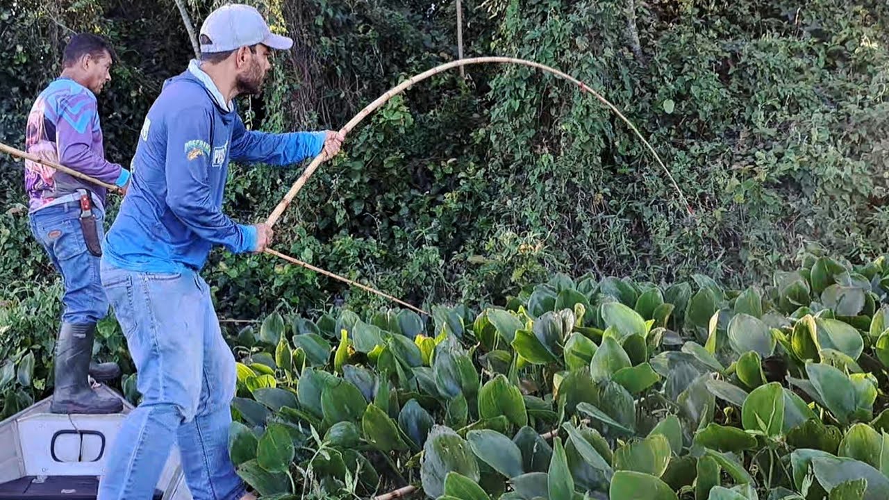 ESTEJA PREPARADO PARA PESCAR ESSE PEIXE PORQUE AS PEGADAS SÃO VIOLENTAS./PESCARIA RAIZ.
