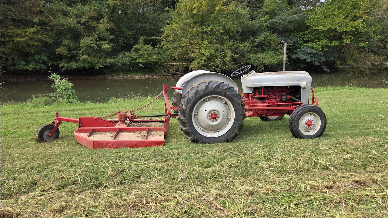 1953 Ford Jubilee tractor - Taking down the okra #tractor #garden #okra 