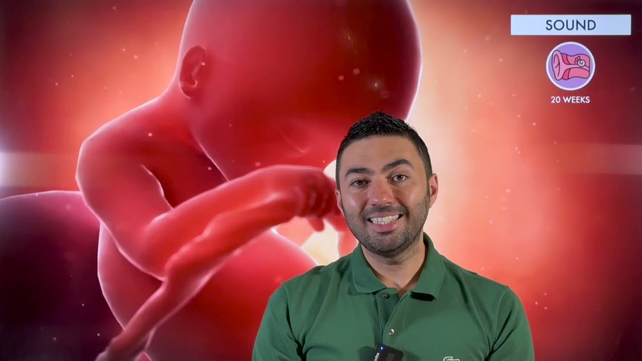 23. Gebelik Haftası Hakkında Bilmeniz Gereken Herşey