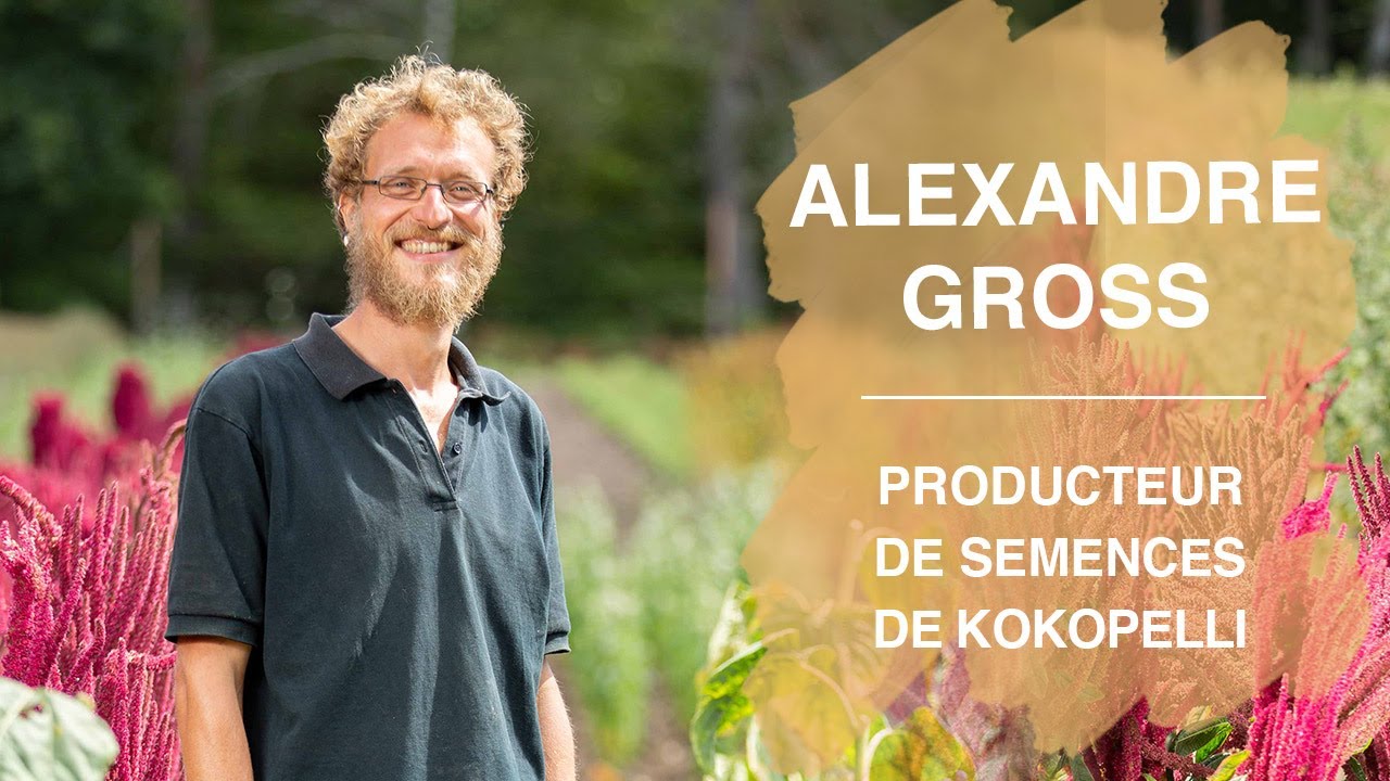 Rencontre avec Alexandre Gross, producteur de semences de Kokopelli