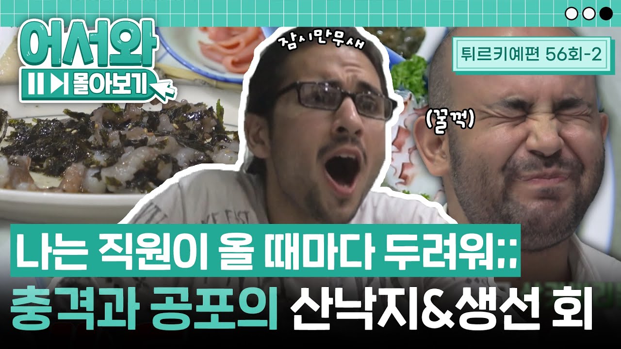 비방용 리액션이 절로😨 터키 친구들의 충격과 공포의 산낙지&생선 회 먹방💦 l #어서와몰아보기​ l #어서와한국은처음이지​ l EP.56-2