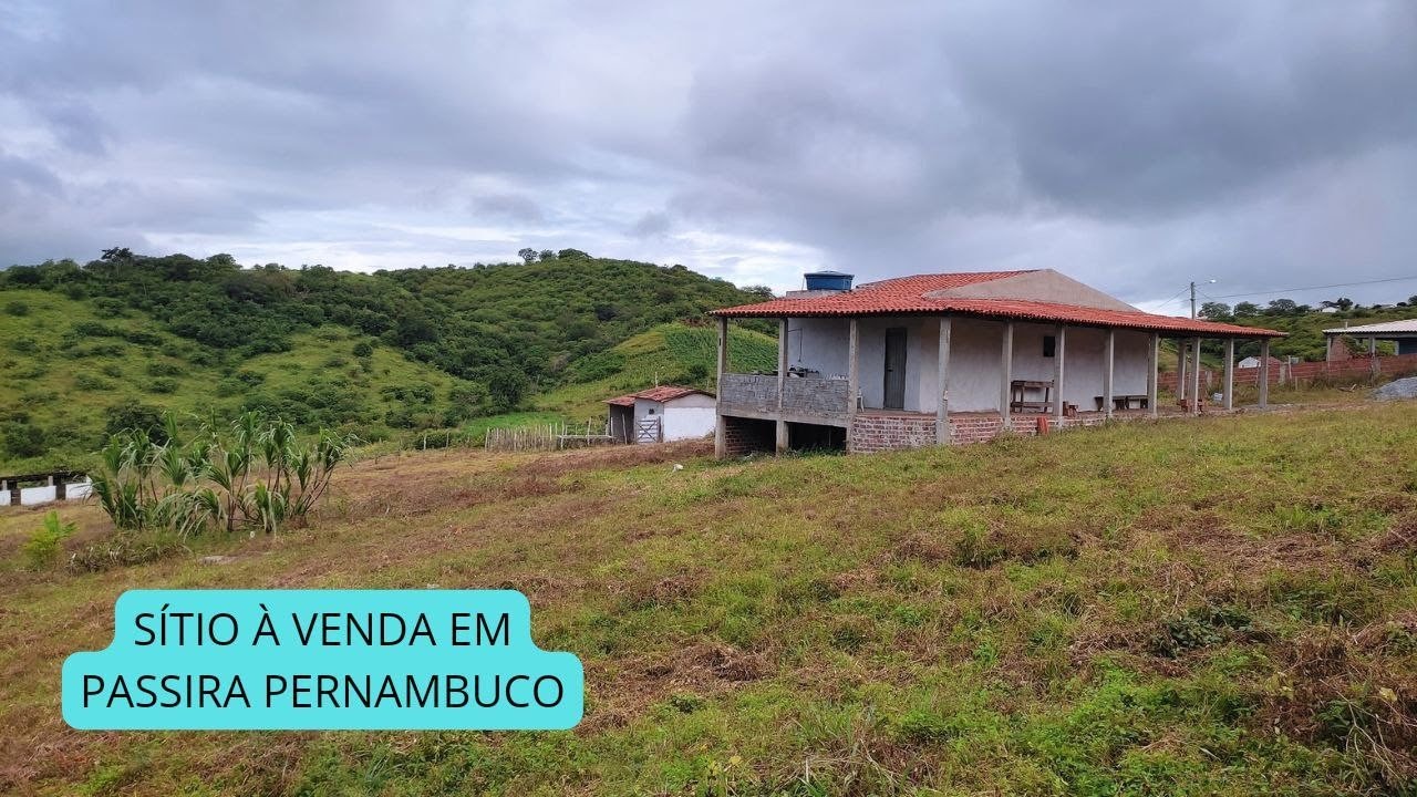 SÍTIO À VENDA NO BORBA EM PASSIRA PERNAMBUCO 11 MIL METROS QUADRADOS