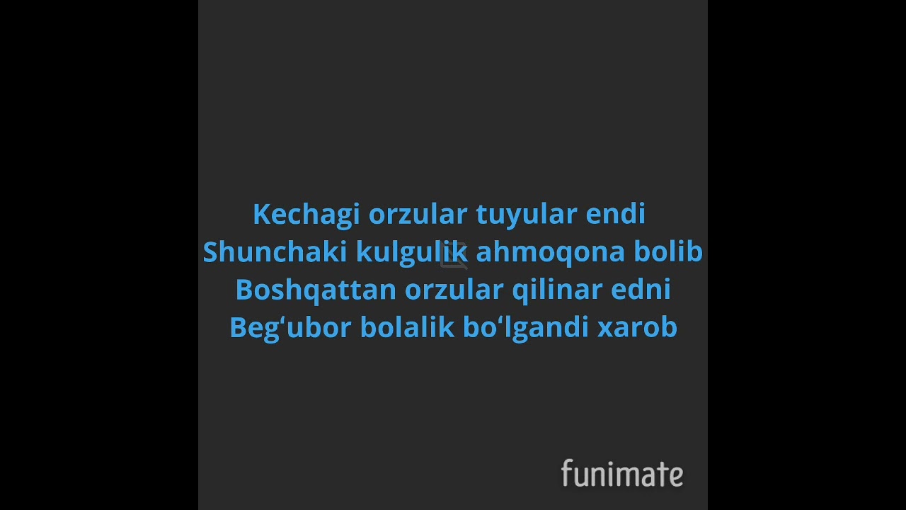 DOXXIM-ADOLF GITLER-TEXT